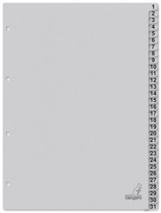 kangaro Karton-Register ECO, Zahlen 1-100, DIN A4
