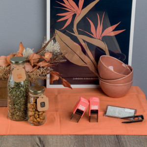 trodat Kit tampon à motif 