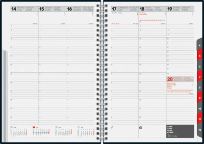 rido idé Agenda planning 
