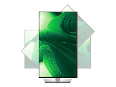 Dell : DELL PRO 24 PLUS QHD USB-C HUB MONITOR - P2425DE