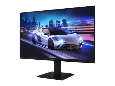 Samsung : S24F320G 24IN FLAT FHD 1920X1080 120HZ IPS 5MS(GTG) FLA