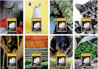 LECAS Calendrier éphéméride mural NATURE, bloc comique, 2026