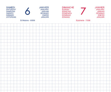 LECAS Agenda journalier Chantier, 2026, 90 x 150 mm, assorti