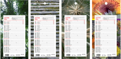 LECAS Calendrier mural long, 160 x 330 mm, fond Nature, 2026