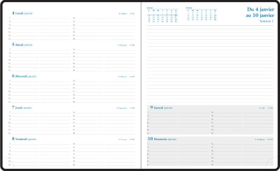 EXACOMPTA Agenda de bureau 