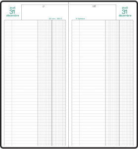 EXACOMPTA Agenda Banquier long, 1 volume, 2026, noir