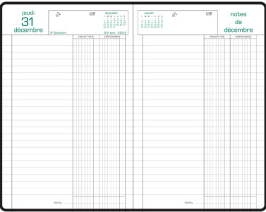 EXACOMPTA Agenda Carré Recettes/Dépenses, 2026, assorti