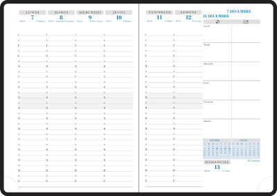 EXACOMPTA Agenda de bureau Horizons 20 Visuel, 2026, assorti