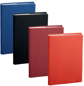 QUO VADIS Agenda de poche SAPA X, 100 x 150 mm, 2026,assorti