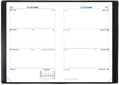 QUO VADIS Agenda de poche SAPA X, 100 x 150 mm, 2026,assorti
