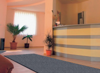 miltex Schmutzfangmatte EAZYCARE WASH, 1.150 x 2.400 mm miltex Schmutzfangmatte EAZYCARE WASH, 1.150 x 2.400 mm