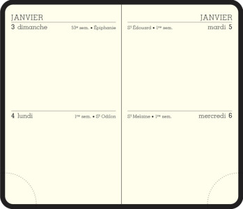 EXACOMPTA Agenda de poche MINI 11 2 JOURS, 2026, assorti
