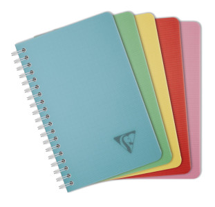 Clairefontaine Carnet reliure intégrale LINICOLOR, 110x170mm