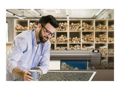 HP : DESIGNJET Z6DR POSTSCRIPT 44IN avec EDGE TRIMMER