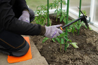 Bradas Planche pour genou, (L)400 x (T)200 x (H)20 mm, vert Bradas Planche pour genou, (L)400 x (T)200 x (H)20 mm, vert