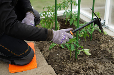 Bradas Planche pour genou, (L)400 x (T)200 x (H)20 mm, vert