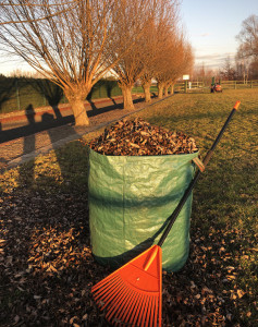 Bradas Sac à végétaux PICK-UP, repliable, 270 litres, vert