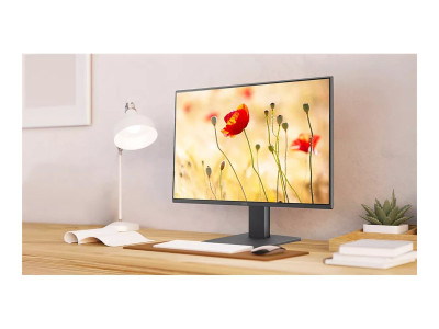 Benq : GW2491 23.8 IPS 1920X1080 FHD 100HZ GW2491 DP HDMI 250 NITS 13