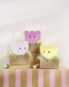 folia Herbe de décoration/Pâques, 30 g, naturel