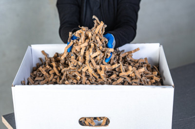 HSM Verpackungspolstermaschine ProfiPack ecoChip