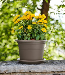 tera Untersetzer tera Untersetzer