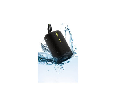 Logitech : ULTIMATE EARS EPICBOOM CHARCOAL CHARCOAL BLACK BT-EMEA28-935