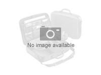 Cisco : IPSEC HSEC LICENSE pour CISCO ISR 1100 8P SERIES Cisco : IPSEC HSEC LICENSE pour CISCO ISR 1100 8P SERIES