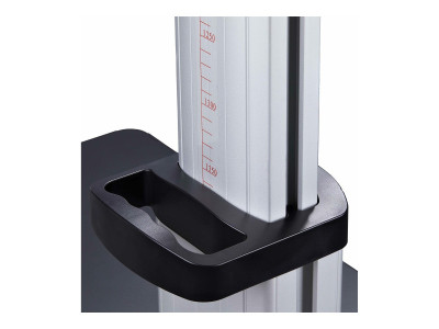 Startech : SUPPORT TV A ROULETTES pour EC RANS PLATS de 60 A 100IN/100KG