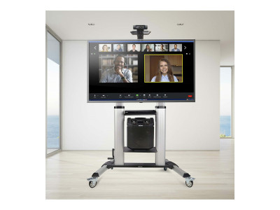 Startech : SUPPORT TV A ROULETTES pour EC RANS PLATS de 60 A 100IN/100KG