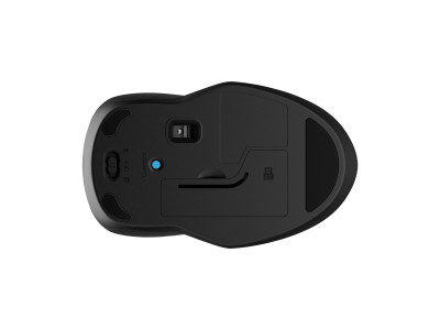 HP : HP 255 DUAL MODE WIRELESS MOUSE (pc)