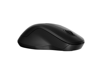 HP : HP 255 DUAL MODE WIRELESS MOUSE (pc)
