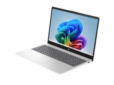 HP : 15-FN0021NF RYZEN AI 5 340 512GB 24GB 15.6IN NOOD W11H (ryznai)