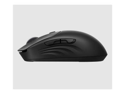 HP : HP 705 RECHARGEABLE WIRELESS MOUSE EMEA - INTL ENGLISH LOC EU