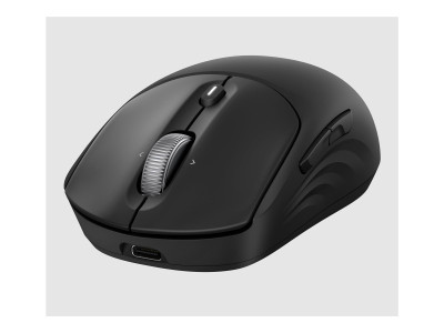 HP : HP 705 RECHARGEABLE WIRELESS MOUSE EMEA - INTL ENGLISH LOC EU