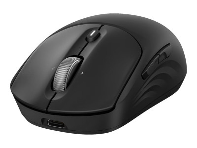 HP : HP 705 RECHARGEABLE WIRELESS MOUSE EMEA - INTL ENGLISH LOC EU