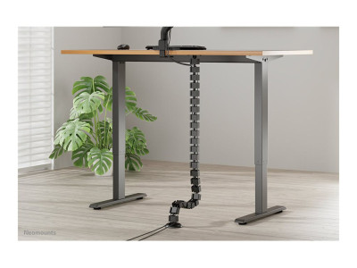 Neomounts : CABLE SPINE ORGANIZER pour SIT/STAND DESK FRAMES SCREW MOUN