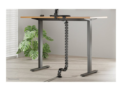 Neomounts : CABLE SPINE ORGANIZER pour SIT/STAND DESK FRAMES CLAMP MOUN
