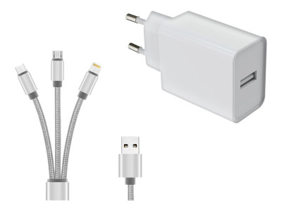 DLH : 12W USB-A WALL CHARGER avec 3-I C CBLE 3 en 1 (USB-C / MICRO U