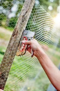 Rapid Agrafeuse PRO R153, en acier, argent