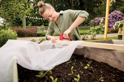 Rapid Agrafeuse R53, rouge