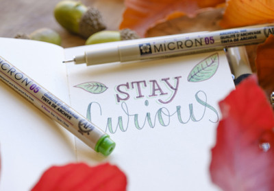 SAKURA Fineliner PIGMA MICRON 05, Erdfarben, 6er Etui