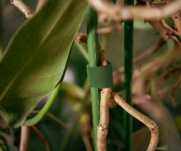 Bradas Ruban auto-agrippant, 25 mm x 5 m, vert