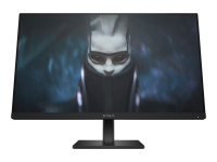HP : OMEN BY HP 23.8 INCH FHD 165HZ OPG 46142761
