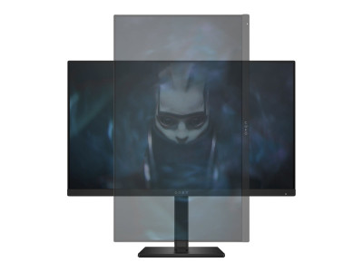 HP : OMEN BY HP 23.8 INCH FHD 165HZ OPG 46142761