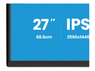 Iiyama : 27IN IPS QHD 350CD/ HDMI/DP/2USB/HP