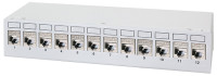 LogiLink Desktop Patch Panel Kat.6A, 4 Port, lichtgrau