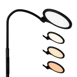 Hansa LED-Stehleuchte/-Leseleuchte ATRIA, matt-schwarz