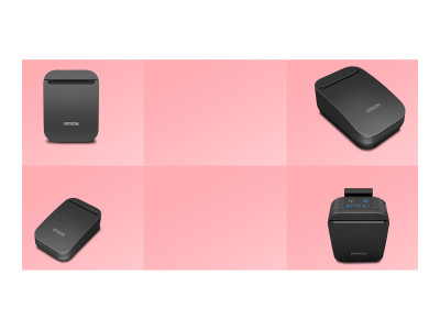 Epson : EPSON TM-P20II (106): RECEIPT BLUETOOTH USB-C WHITE EMEA