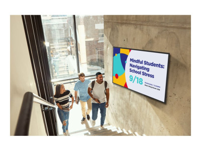 Viewsonic : VIEWBOARD LED LARGE FORMAT DISP PLAY 55IN 3840X2160 500 NITS AN