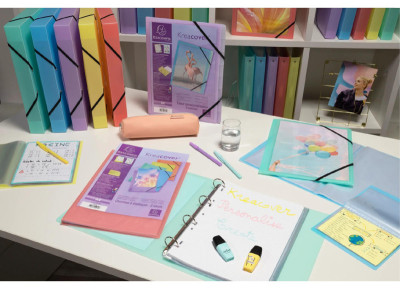 EXACOMPTA Protège-documents, A4, PP, 50 pochettes, assorti